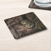 Wälder | Zwei Eulen schauen Rechteckiger Pappuntersetzer (angewinkelt)
