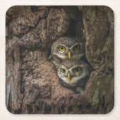 Wälder | Zwei Eulen schauen Rechteckiger Pappuntersetzer (Vorderseite)