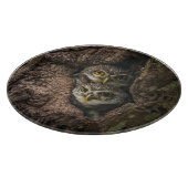 Wälder | Zwei Eulen schauen Schneidebrett (Ecke)