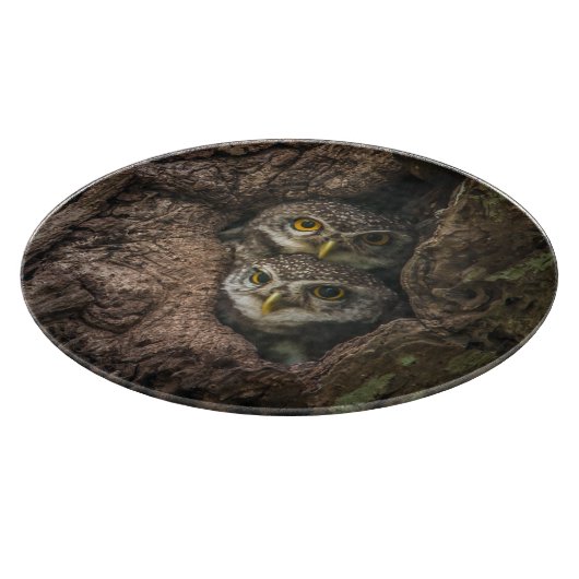 Wälder | Zwei Eulen schauen Schneidebrett (Ecke)
