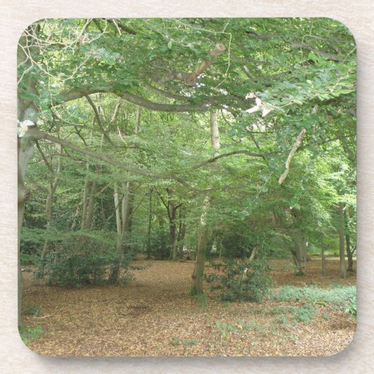 Walderäumungs-Cork-Untersetzer Untersetzer (Vorderseite)