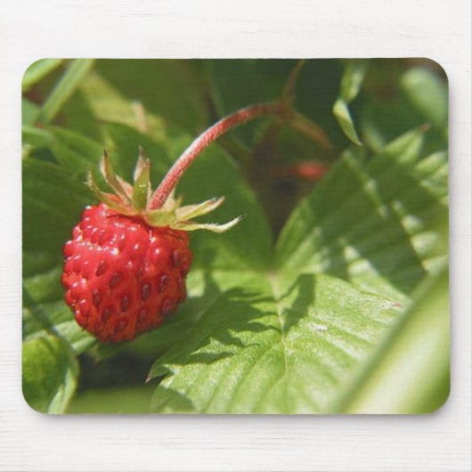 Walderdbeere Mousepad (Vorne)