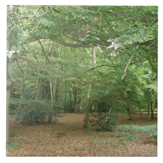 Walderklärungskeil Fliese (Vorderseite)