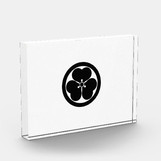 Walderorchel Fotoblock (Links)