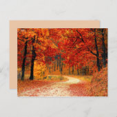 Waldfallspur nach Karte (Vorne/Hinten)