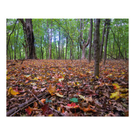 Waldfarben Fotodruck