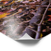 Waldfarben Fotodruck (Ecke)