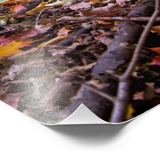 Waldfarben Fotodruck (Ecke)