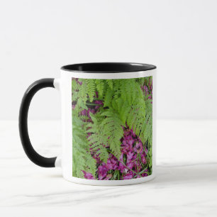 WaldFarne mit rosa Blütenblättern auf dem Boden Tasse