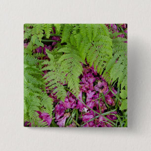 Waldfarne mit rosa Blütenblättern aus der Blume  Button