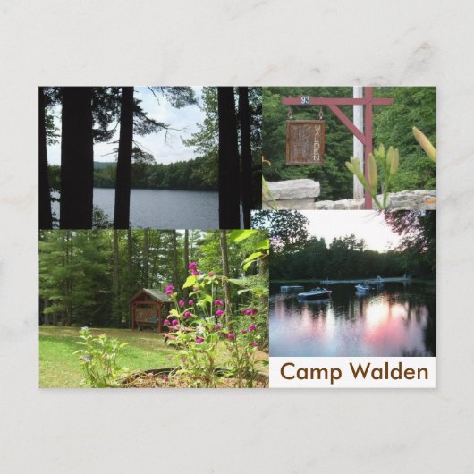 waldfest postkarte (Vorderseite)
