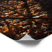 Waldfilter-Poster Poster (Ecke)