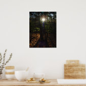 Waldfilter-Poster Poster (Küche)