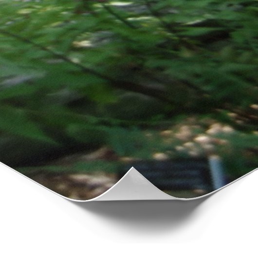 Waldfläche Poster (Ecke)