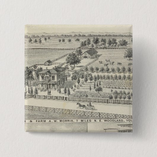 Waldflächen, landwirtschaftliche Betriebe Button (Vorderseite)