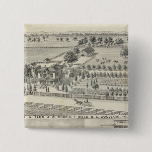 Waldflächen, landwirtschaftliche Betriebe Button