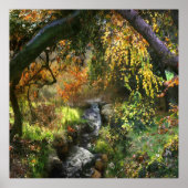 WALDFLUSS POSTER (Vorne)