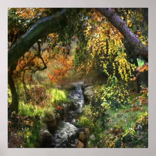 WALDFLUSS POSTER (Vorne)