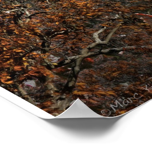 WALDFLUSS POSTER (Ecke)