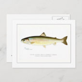 Waldforelle Postkarte (Vorne/Hinten)