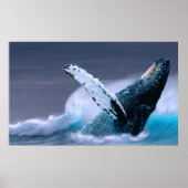 Waldfotografie-Poster Poster (Vorne)