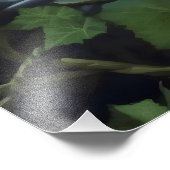 Waldfrau Fotodruck (Ecke)