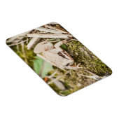 Waldfrösche Natur Waldtiere Magnet (Rechte Seite)