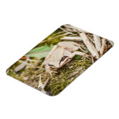 Waldfrösche Natur Waldtiere Magnet (Linke Seite)
