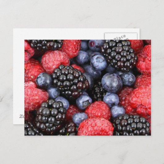 Waldfrüchte Postkarte (Vorne/Hinten)