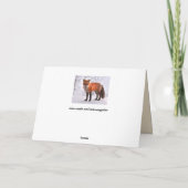 Waldfuchskarte Karte (Rückseite)