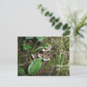 Waldgarten Postkarte (Stehend Vorderseite)