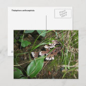 Waldgarten Postkarte (Vorne/Hinten)