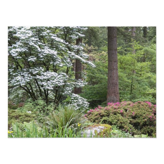 Waldgartenlandschaft Fotodruck (Vorne)