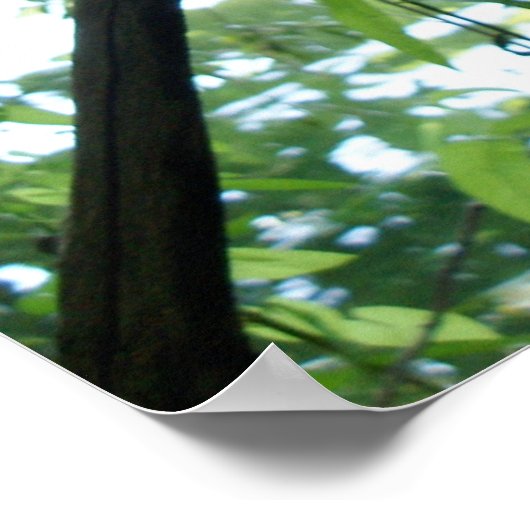 Waldgestüt Poster (Ecke)