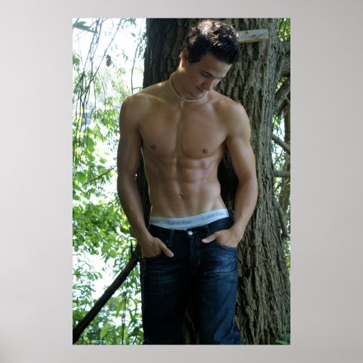 Waldgestüt Poster (Vorne)