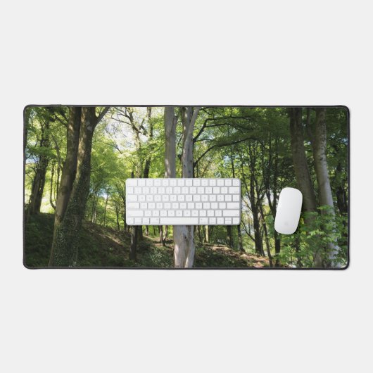 Waldglade in Sonnenlicht auf einem Schreibtischunterlage (Tastatur & Maus)