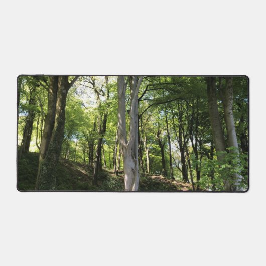 Waldglade in Sonnenlicht auf einem Schreibtischunterlage (Vorderseite)