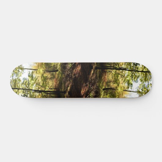 Waldglasur Skateboard (Horizontal)