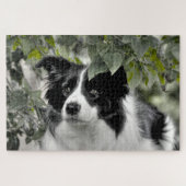 Waldgrenze Collie 1014 Stück Puzzle (Horizontal)