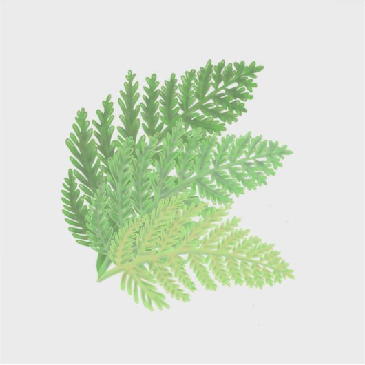Waldgrün-Farne-Waldfarne-Blätter Aufkleber (Vorderseite)