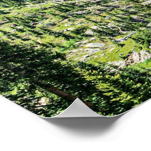 Waldgrundstück mit dichtem Wald // Skigebiet Poster (Ecke)