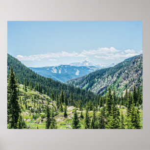 Waldgrundstück mit dichtem Wald // Skigebiet Poster