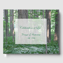 Waldgrüne Feier zum Gedenken an das Leben