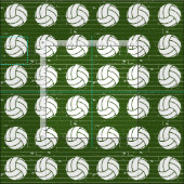 Waldgrüner Volleyball-Holzfußboden Gemustert Stoff (Kachel)