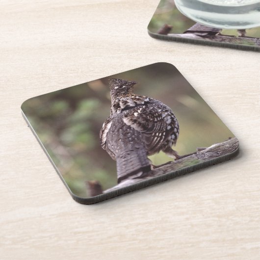 Waldhuhn Untersetzer (Linke Seite)