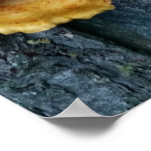 Waldhühner Poster (Ecke)