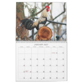 Waldhühner - Vögel Kalender (Jan 2027)