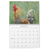 Waldhühner - Vögel Kalender (Mär 2027)