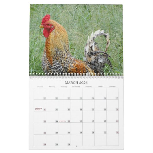 Waldhühner - Vögel Kalender (Mär 2026)
