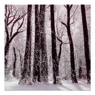 WALDIGE SCHNEEIGE WINTERLANDSCHAFT POSTER